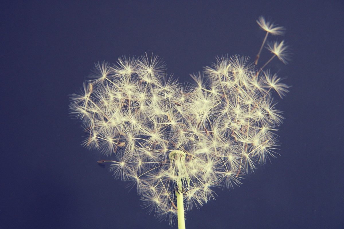 The Silver Lining of Sheltering at Home